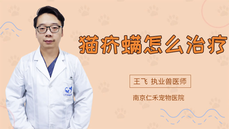 猫疥螨怎么治疗