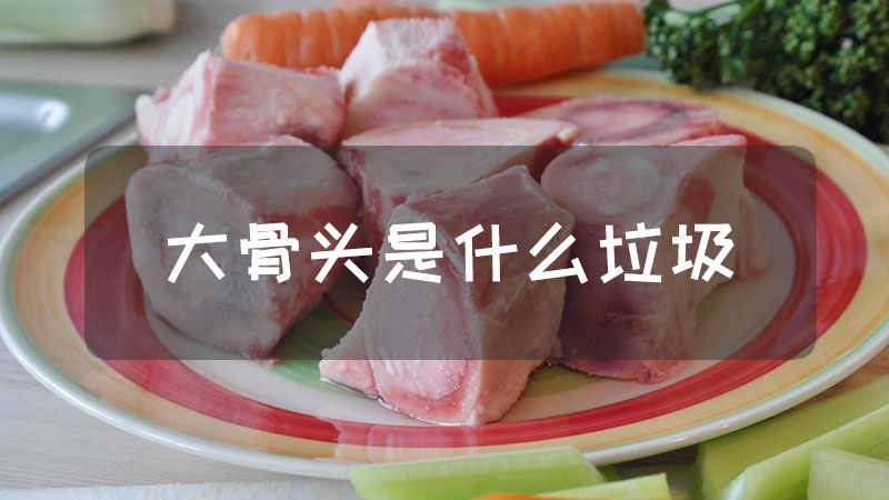 大骨头是什么垃圾