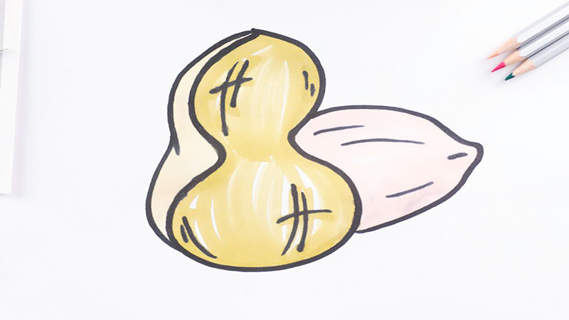 花生怎么画