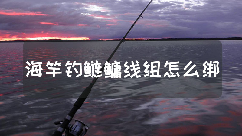 海竿釣鰱鱅線組怎麼綁