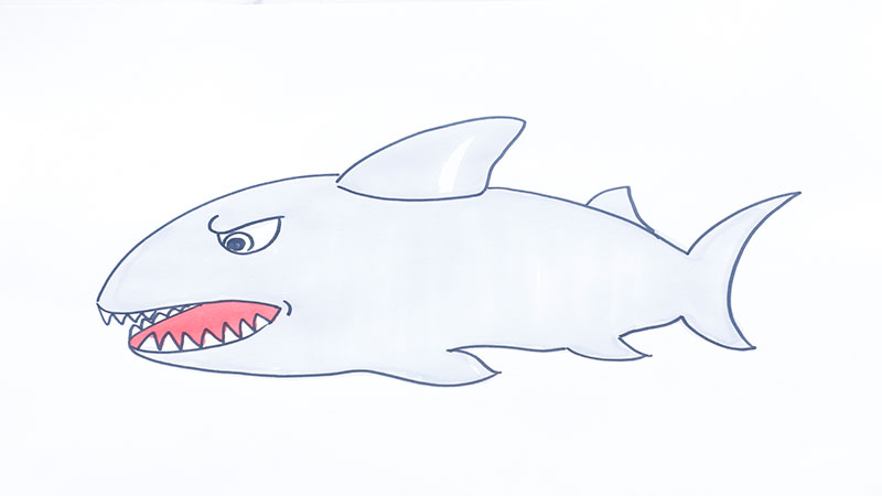 虎鲨怎么画 